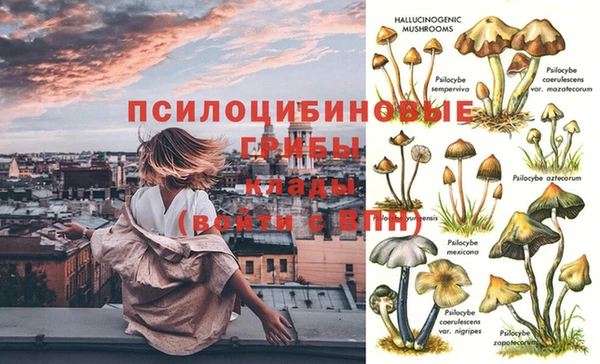 не бодяженный Баксан