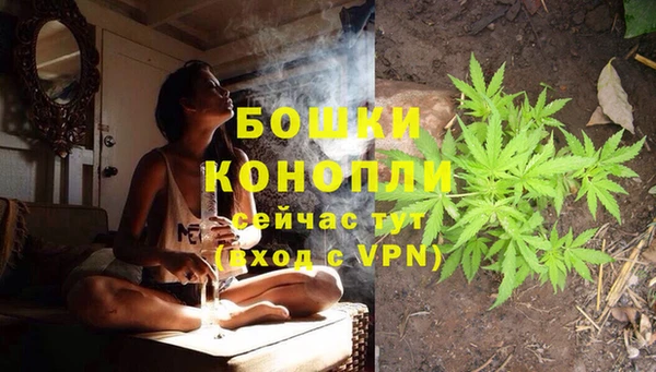 молекула духа Армянск